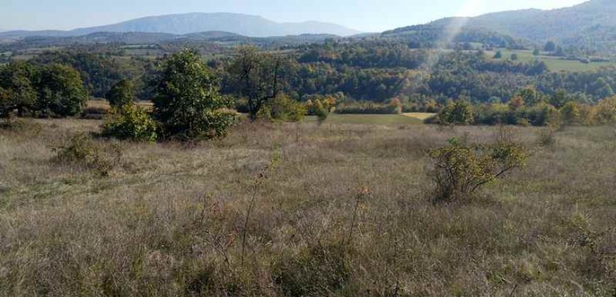 Rtanj-Bačevica 2ha 58a 94kvm