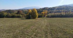 Rtanj-Bačevica 2ha 58a 94kvm