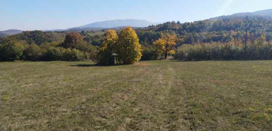 Rtanj-Bačevica 2ha 58a 94kvm