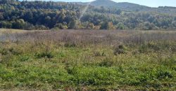 Boljevac, Rtanj – Bačevica 3ha 39a 60kvm