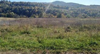 Boljevac, Rtanj – Bačevica 3ha 39a 60kvm