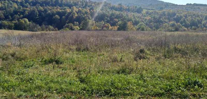 Boljevac, Rtanj – Bačevica 3ha 39a 60kvm