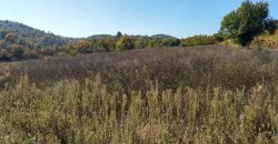 Boljevac, Rtanj – Bačevica 3ha 39a 60kvm