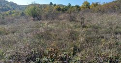 Boljevac, Rtanj – Bačevica 3ha 39a 60kvm