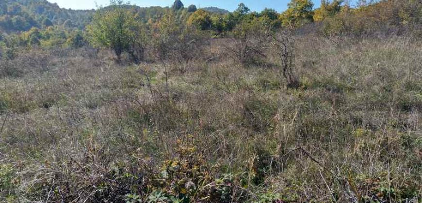 Boljevac, Rtanj – Bačevica 3ha 39a 60kvm