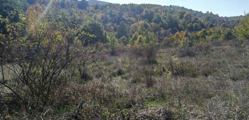 Boljevac, Rtanj – Bačevica 3ha 39a 60kvm