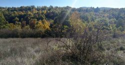 Boljevac, Rtanj – Bačevica 3ha 39a 60kvm