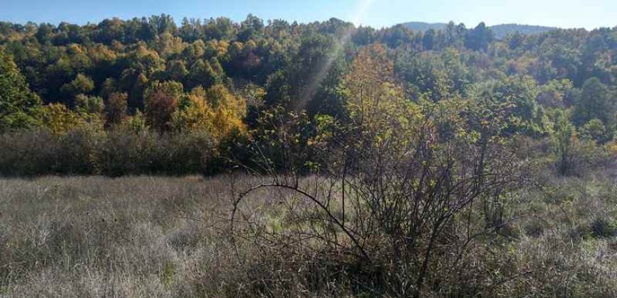 Boljevac, Rtanj – Bačevica 3ha 39a 60kvm