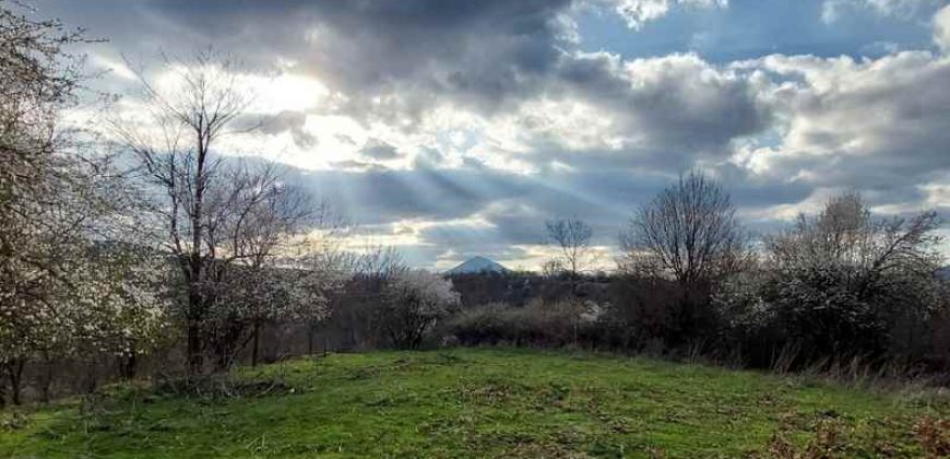 Rtanj – Bačevica 54kvm + 11ha 44a 30kvm