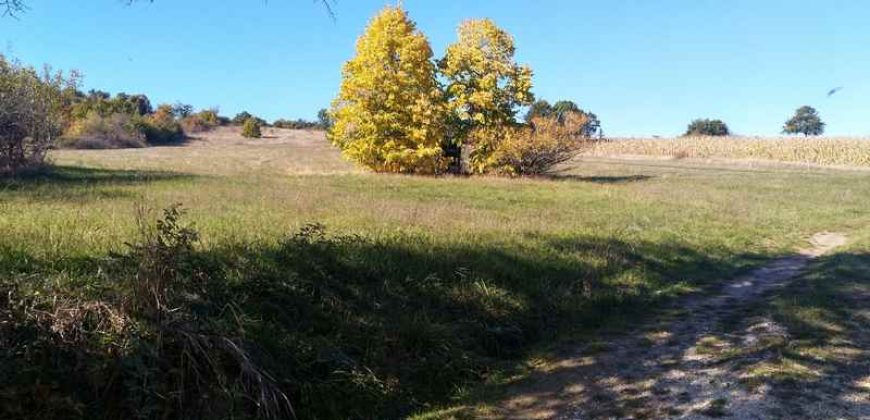 Rtanj-Bačevica 2ha 58a 94kvm