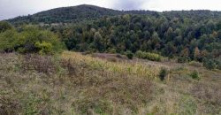 Boljevac – Dobrujevac 439,22a