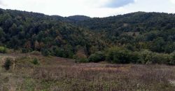 Boljevac – Dobrujevac 439,22a