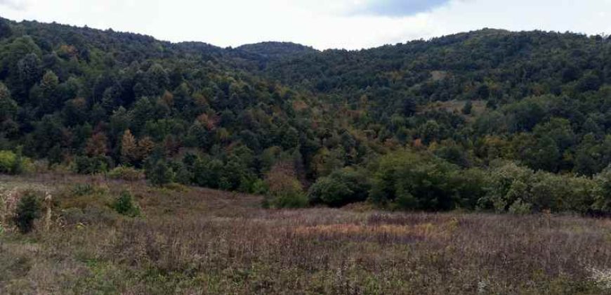 Boljevac – Dobrujevac 439,22a