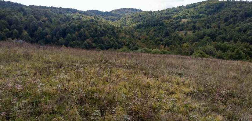 Boljevac – Dobrujevac 439,22a