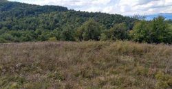 Boljevac – Dobrujevac 439,22a