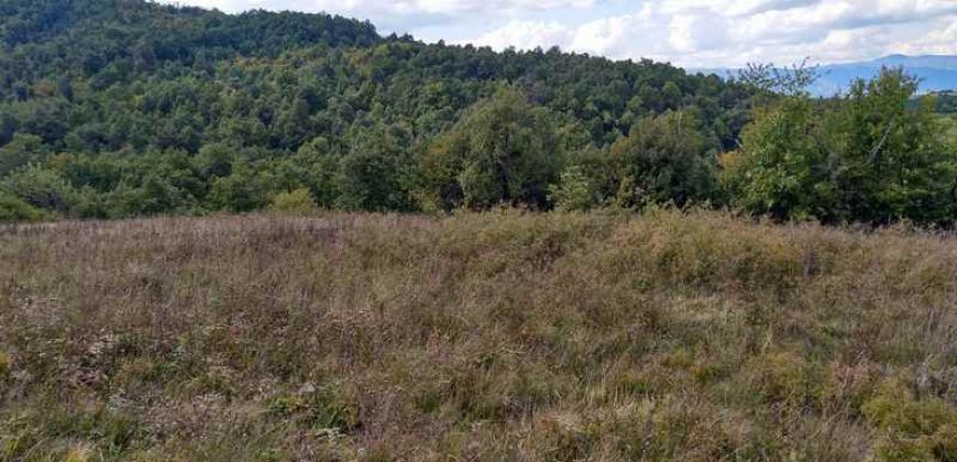 Boljevac – Dobrujevac 439,22a