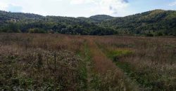 Boljevac – Dobrujevac 439,22a