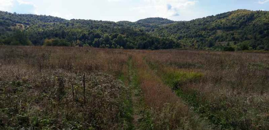 Boljevac – Dobrujevac 439,22a