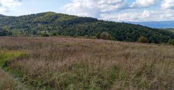 Boljevac – Dobrujevac 439,22a