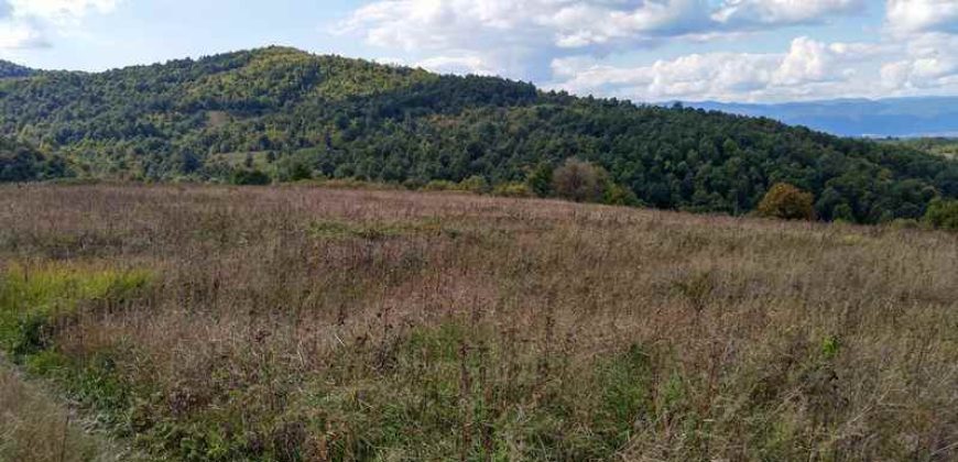 Boljevac – Dobrujevac 439,22a