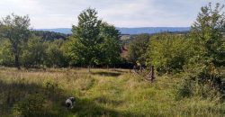 Boljevac, Rtanj – Valakonje 94kvm +7ha 58a 63kvm