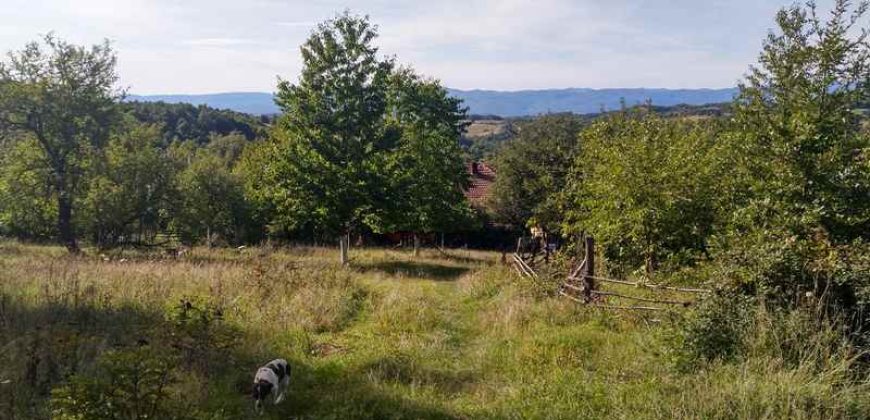 Boljevac, Rtanj – Valakonje 94kvm +7ha 58a 63kvm