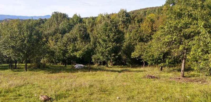 Boljevac, Rtanj – Valakonje 94kvm +7ha 58a 63kvm
