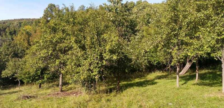 Boljevac, Rtanj – Valakonje 94kvm +7ha 58a 63kvm