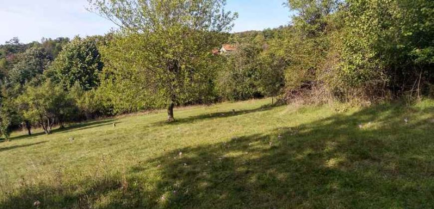 Boljevac, Rtanj – Valakonje 94kvm +7ha 58a 63kvm