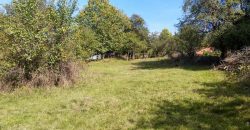 Boljevac, Rtanj – Valakonje 94kvm +7ha 58a 63kvm