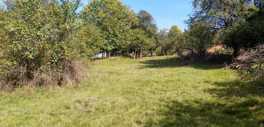 Boljevac, Rtanj – Valakonje 94kvm +7ha 58a 63kvm