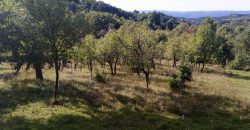 Boljevac, Rtanj – Valakonje 94kvm +7ha 58a 63kvm