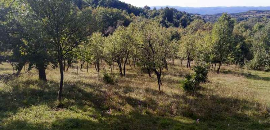 Boljevac, Rtanj – Valakonje 94kvm +7ha 58a 63kvm