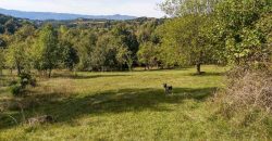 Boljevac, Rtanj – Valakonje 94kvm +7ha 58a 63kvm