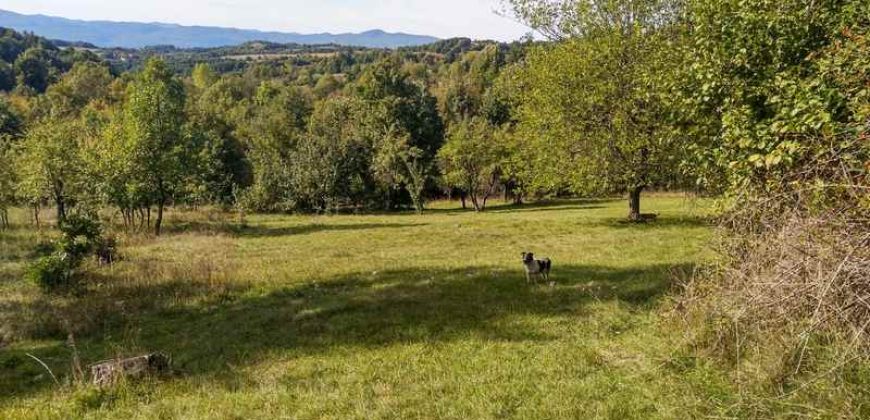 Boljevac, Rtanj – Valakonje 94kvm +7ha 58a 63kvm