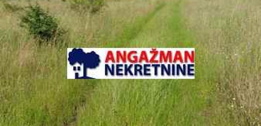 Boljevac, Rtanj – Ilino 26a 64kvm