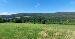 Boljevac, Rtanj – Krivi vir 5ha 64kvm + 52kvm