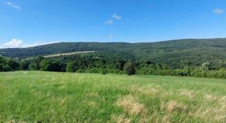 Boljevac, Rtanj – Krivi vir 5ha 64kvm + 52kvm