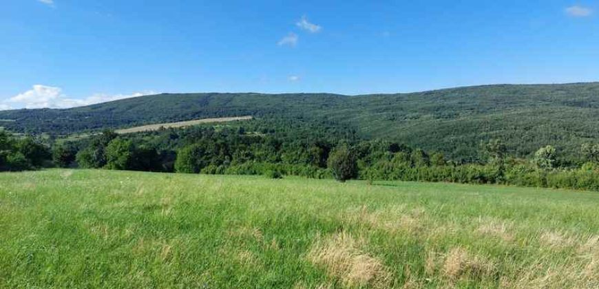 Boljevac, Rtanj – Krivi vir 5ha 64kvm + 52kvm