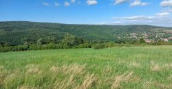 Boljevac, Rtanj – Krivi vir 5ha 64kvm + 52kvm