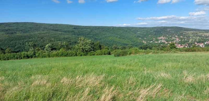 Boljevac, Rtanj – Krivi vir 5ha 64kvm + 52kvm