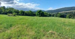 Boljevac, Rtanj – Krivi vir 5ha 64kvm + 52kvm