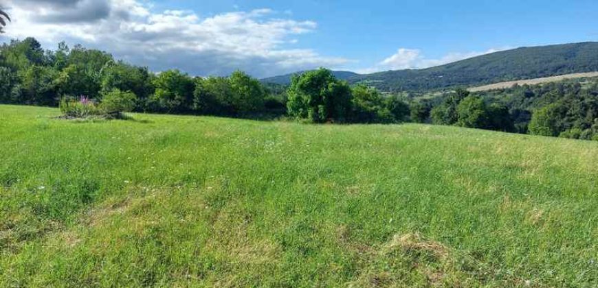 Boljevac, Rtanj – Krivi vir 5ha 64kvm + 52kvm