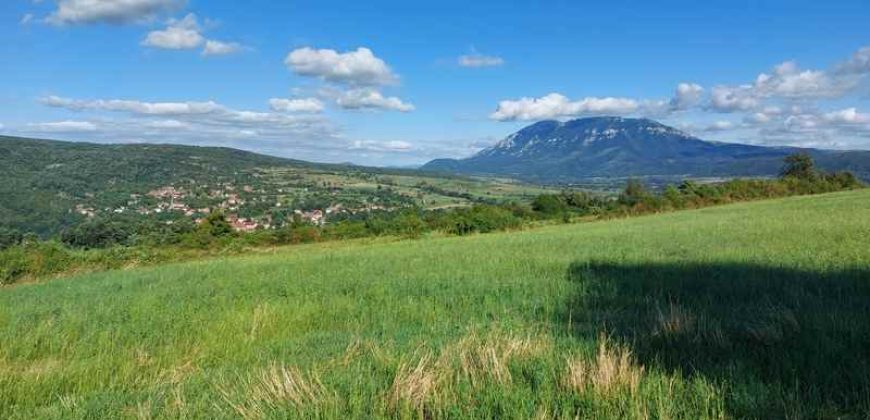 Boljevac, Rtanj – Krivi vir 5ha 64kvm + 52kvm