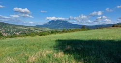 Boljevac, Rtanj – Krivi vir 5ha 64kvm + 52kvm