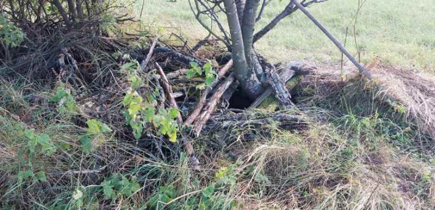 Boljevac, Rtanj – Krivi vir 5ha 64kvm + 52kvm