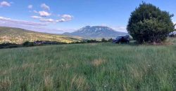 Boljevac, Rtanj – Krivi vir 5ha 64kvm + 52kvm