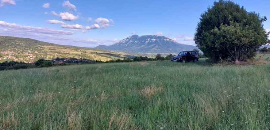 Boljevac, Rtanj – Krivi vir 5ha 64kvm + 52kvm