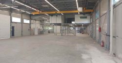 Makiš – hala 800kvm