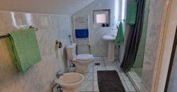 Odlična kuća – 220kvm+2ara